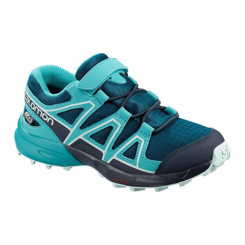 Salomon Singapore Kids Trail Running Shoes - SPEEDCROSS CLIMASALOMON™ WATERPROOF Blue | 95241-FRVY